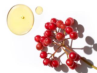 Ingredient closeup